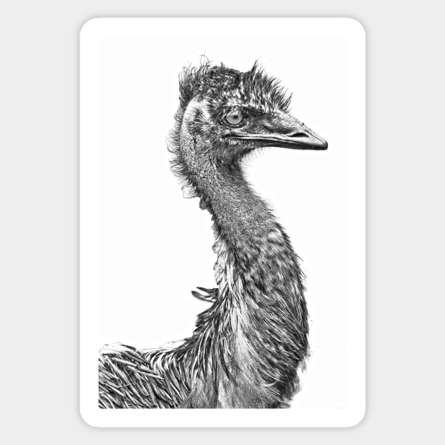 Emu Sticker by Elle Beth Art